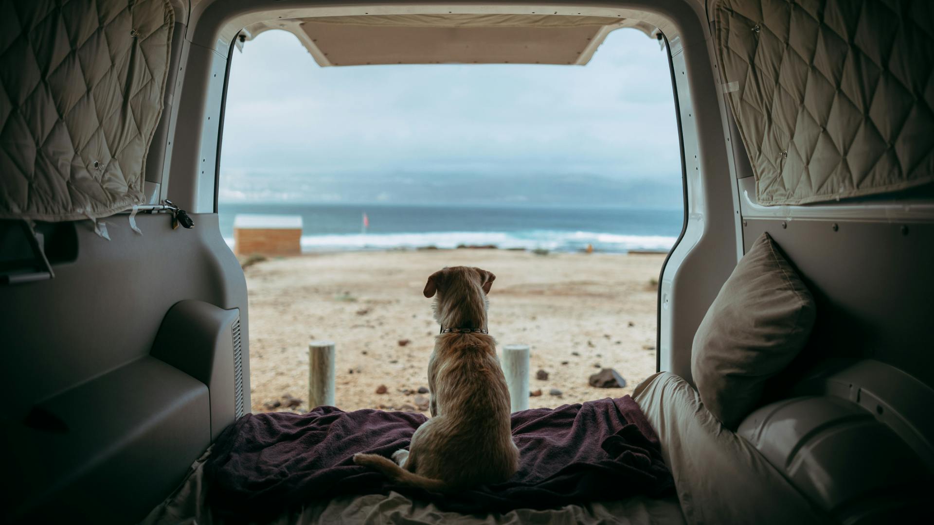 Travel dog beds and car seats to keep your pooch happy and secure Pets Take A Break